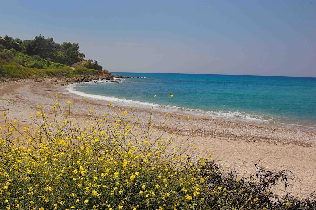 Villa Vanda ليغيا الغرفة الصورة