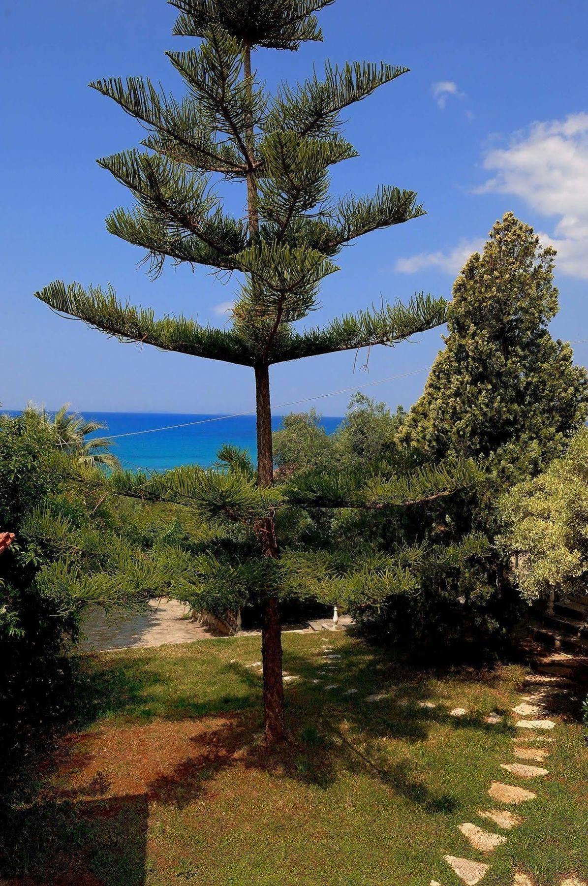 Villa Vanda ليغيا المظهر الخارجي الصورة